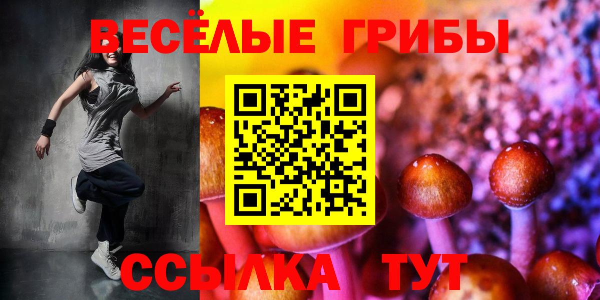 Псилоцибиновые грибы GOLDEN TEACHER Нальчик
