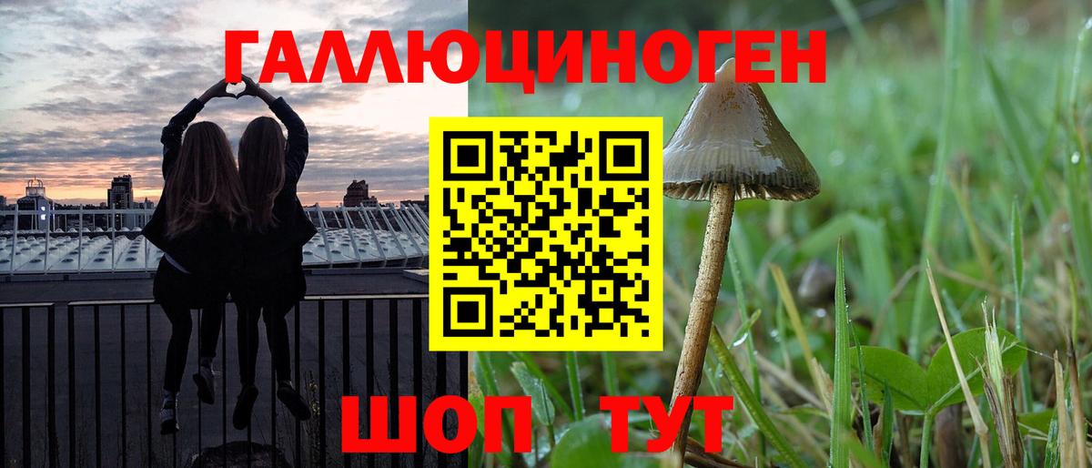 наркошоп  Вход с VPN  Нальчик  Галлюциногенные грибы мухоморы 
